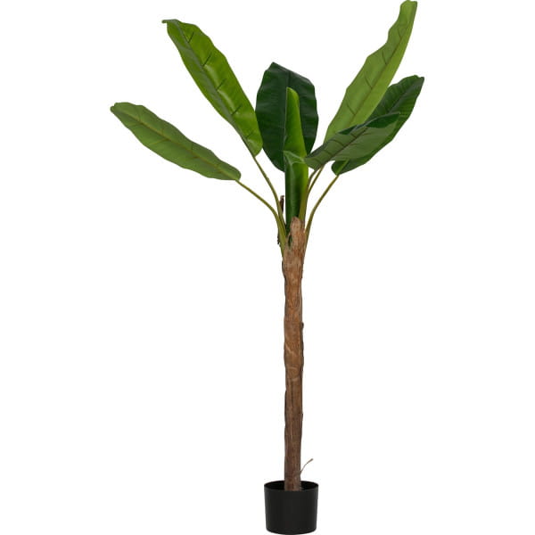 Künstliche Pflanze Bananenstaude Grün 180cm (1 Stamm)